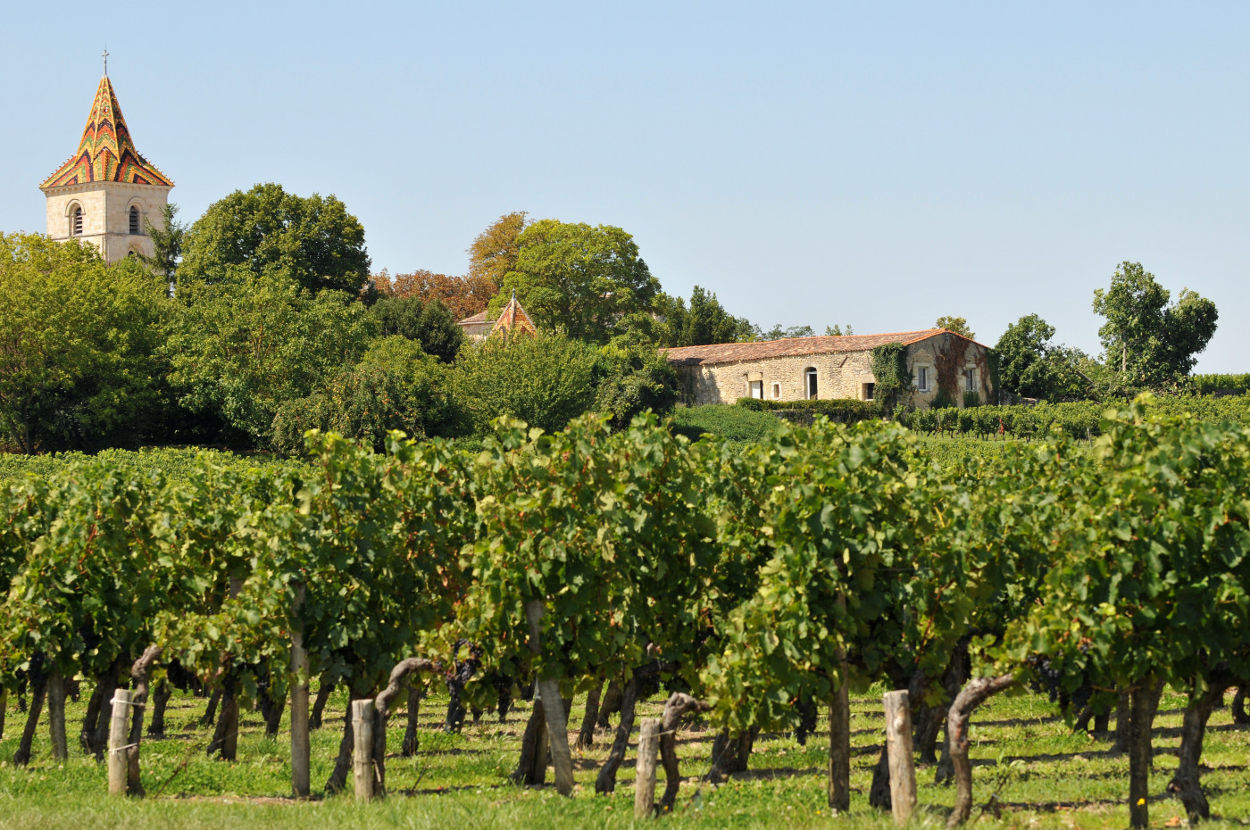 Vignobles et estuaire en Nouvelle-Aquitaine