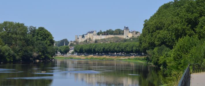 Bords de Loire, inspiration pour les écrivains locaux